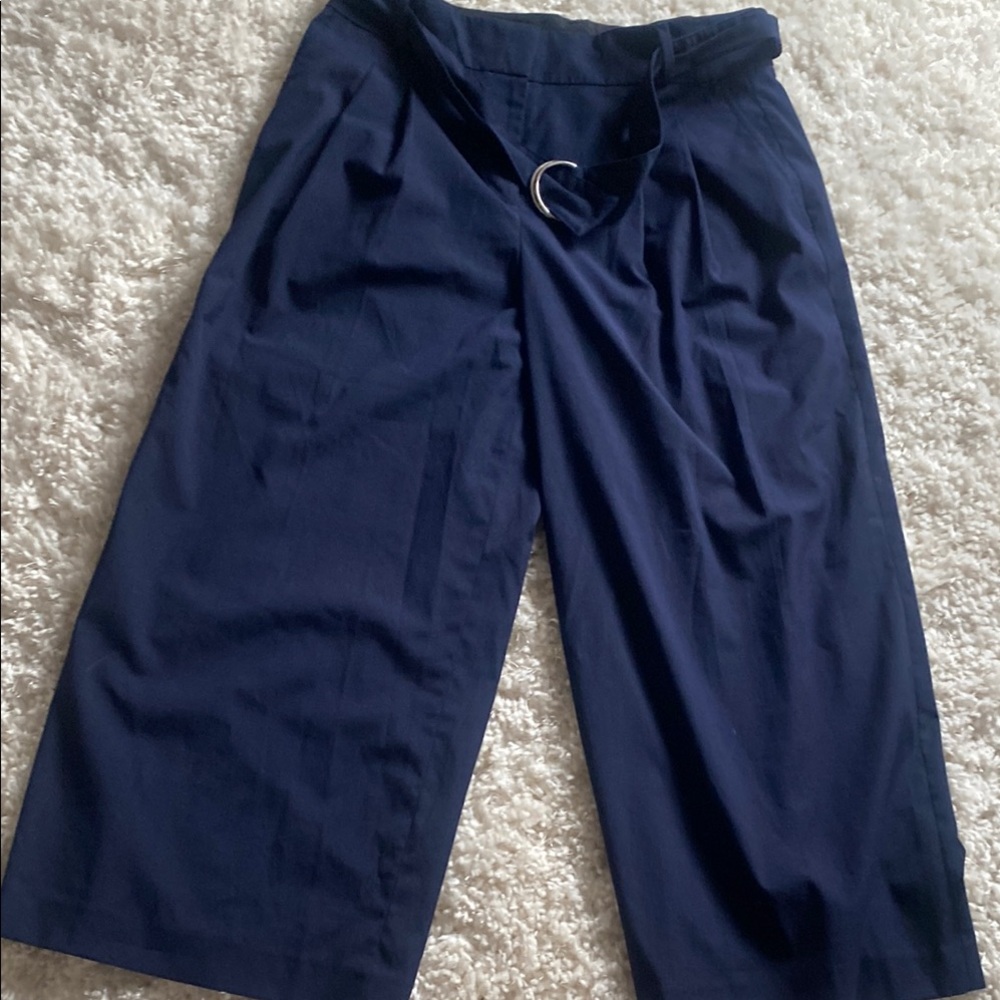 Ann Taylor Navy Blue Light weight Trousers
EUC Size 8